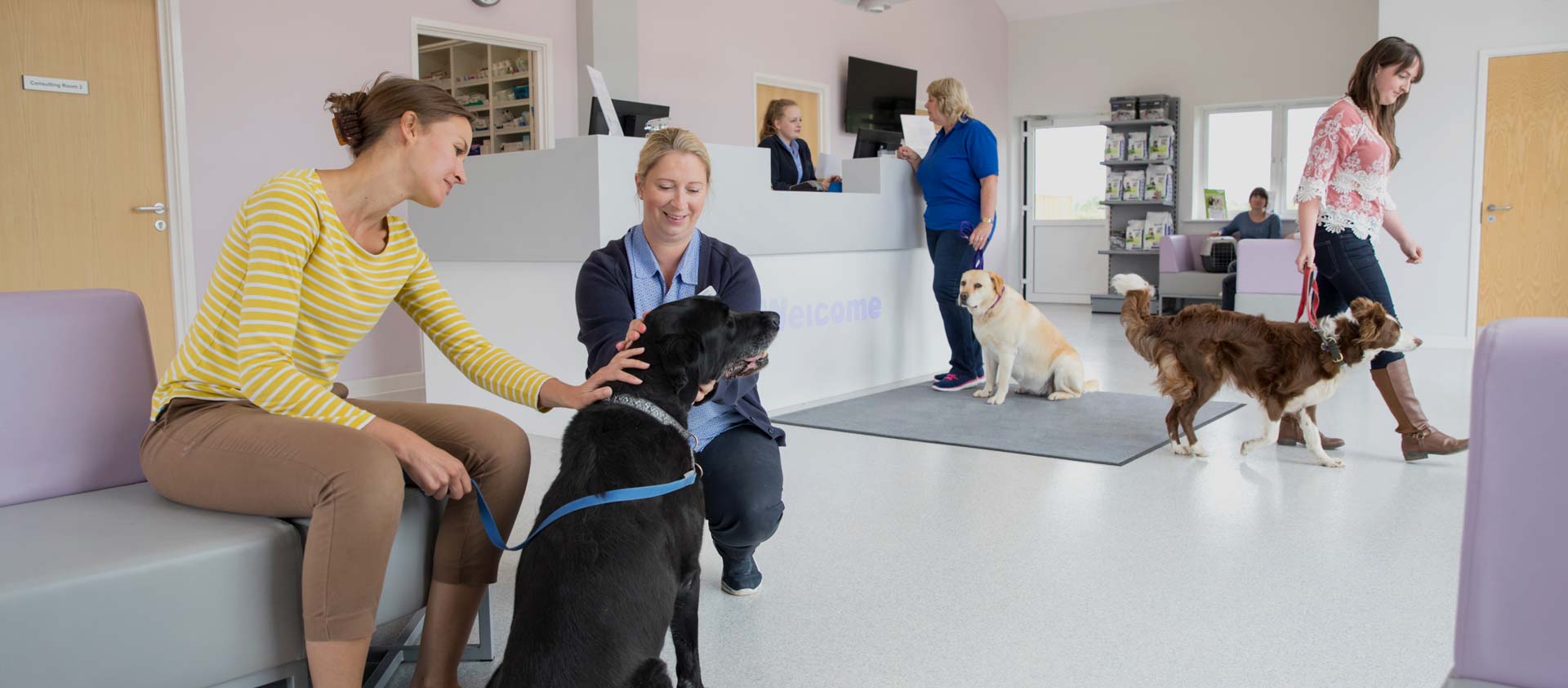 rev-home-2-slide-01 d