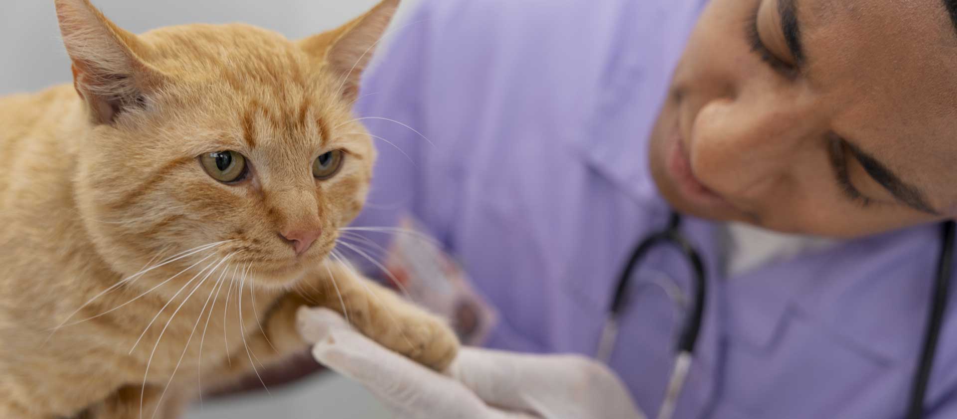 home-2-rev-slide-04 w